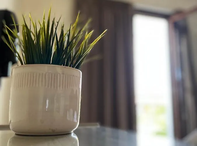 Xanemos Port Xanemos