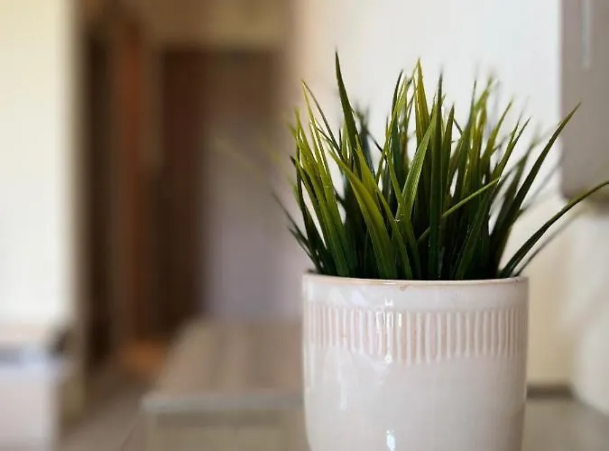 Xanemos Port Xanemos 4*