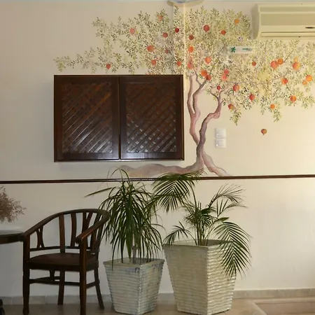 Апарт-отель Xanemos Port Xanemos 4*